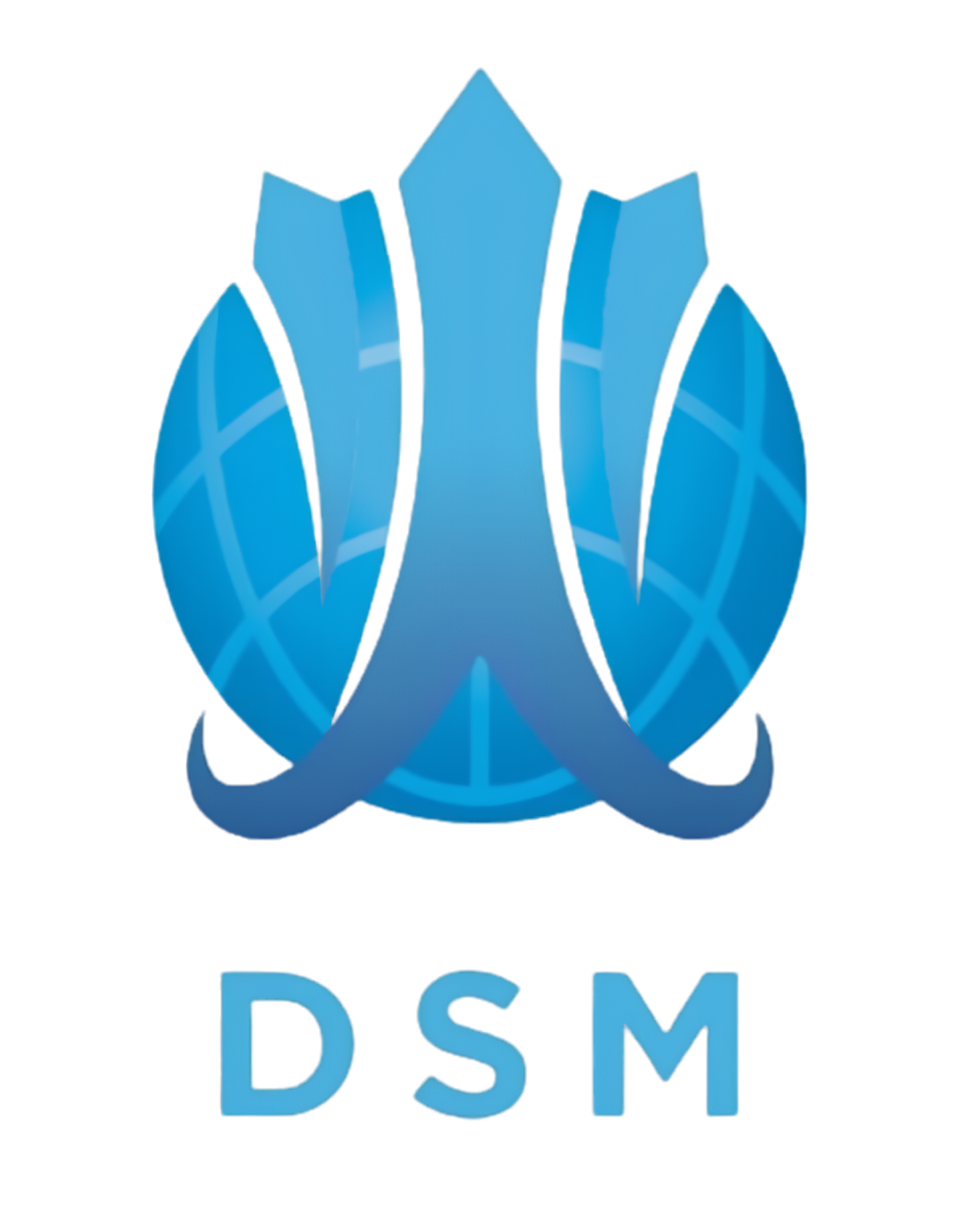 PT DSM